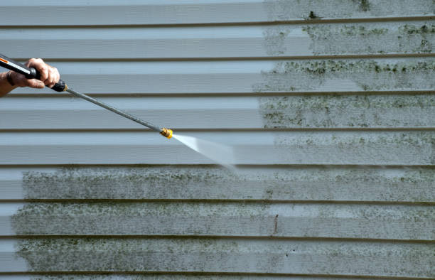 Best Professional Mold Removal  in Glendale, MS