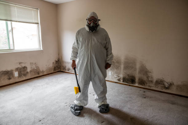 Best Certified Mold Removal  in Glendale, MS