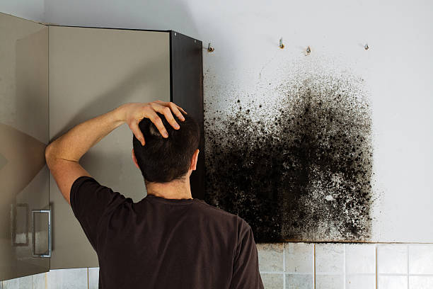 Best Crawl Space Mold Removal  in Glendale, MS